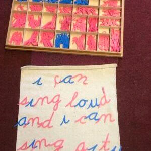 English Learner Support in Montessori Teaching