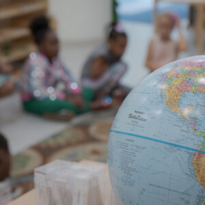 Individual Membership