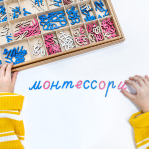 Empowering Multilingual Learners: Strategies for Success