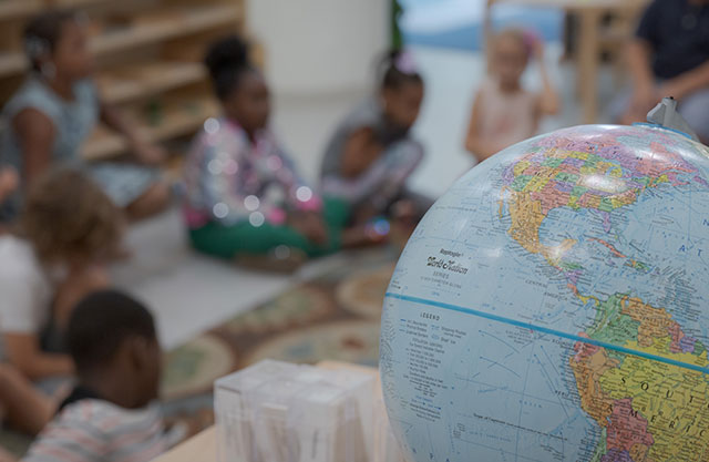 Individual and School Membership